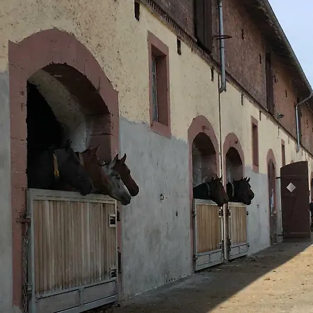 Bergidylle Grafschaft * Dassel