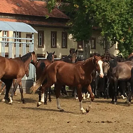 Villa Bergidylle Grafschaft Dassel
